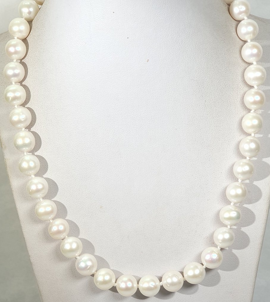 淡水圆珍珠 - 大号 - 一等品 - 宁静与安详 - 925纯银 - 项链 #1.0