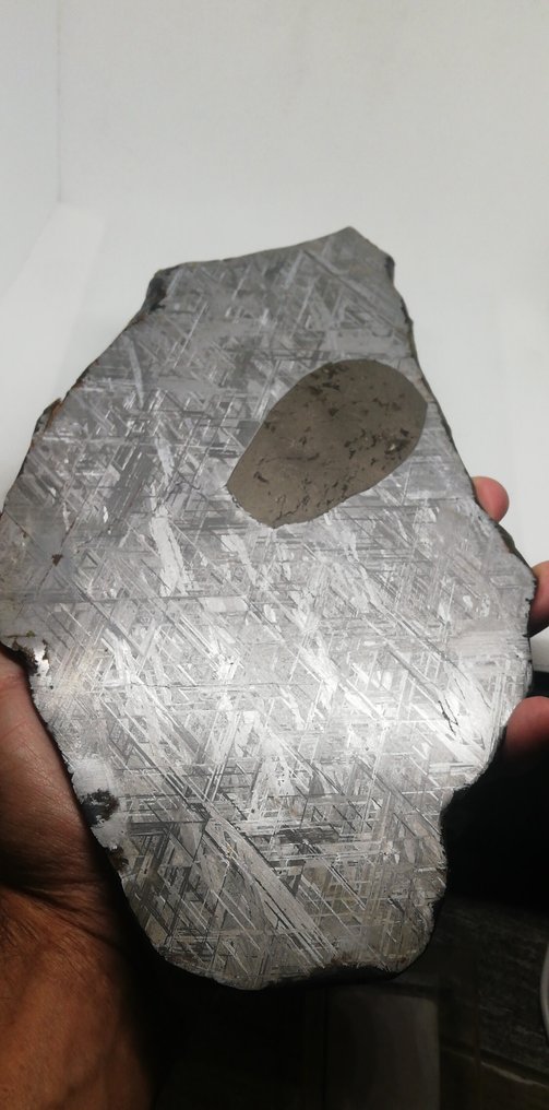 Magnifico campione di fetta XXL Muonionalusta 1209 g con inclusione di troilite. Meteorite Ferroso - Altezza: 27 cm - Larghezza: 16 mm - 1209 g #1.0