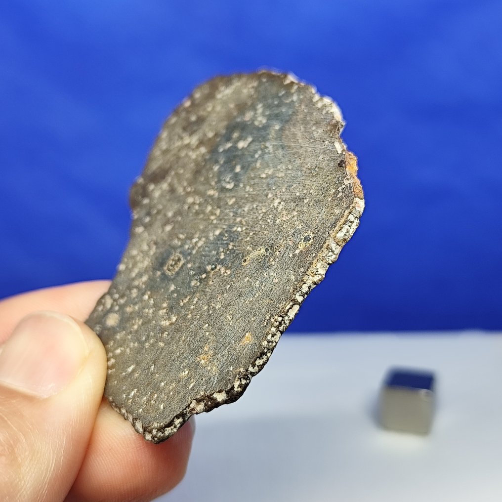 Ungrouped achondrite. "NWA 13791" (Sahara, 2020) Very rare for sale — only 142 grams in the world. - 8.8 g #2.1