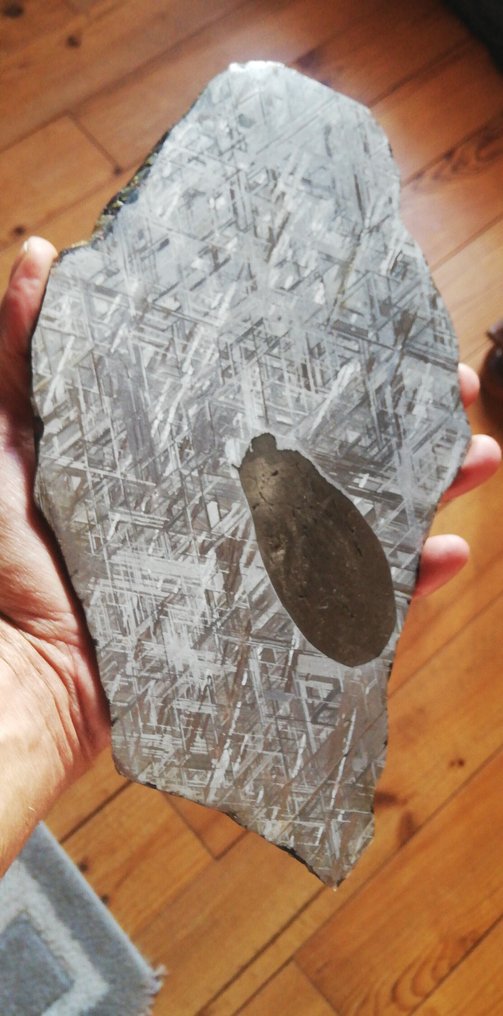 Magnifico campione di fetta XXL Muonionalusta 1209 g con inclusione di troilite. Meteorite Ferroso - Altezza: 27 cm - Larghezza: 16 mm - 1209 g #2.1