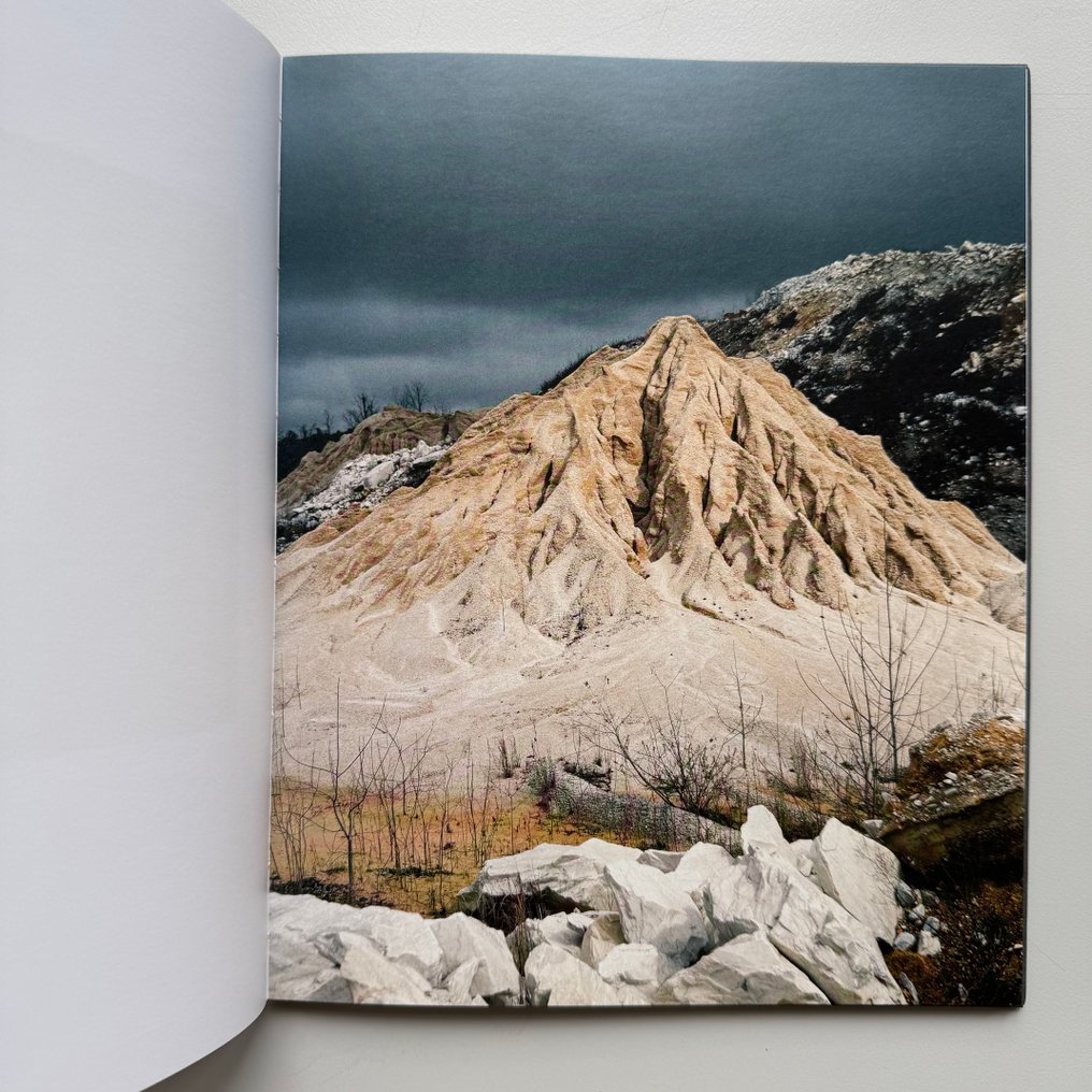 Regine Petersen - Find a Fallen Star - 2015 #4.3