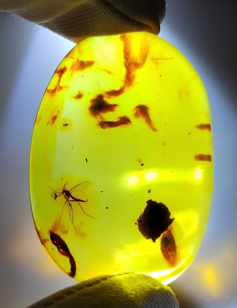 FOSSIL-GEWELDIG!! Dominican amber - 90 ct- 18 g #1.0
