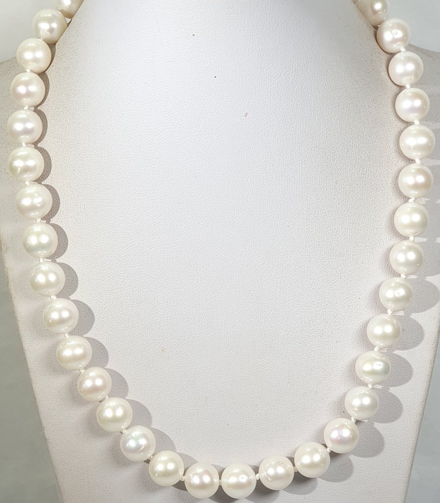 淡水圆珍珠 - 大号 - 一等品 - 宁静与安详 - 925纯银 - 项链 #4.3