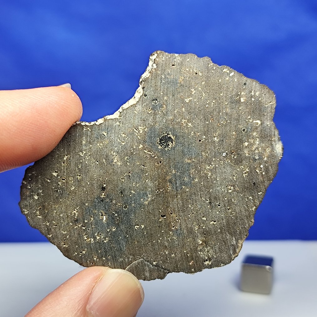 Ungrouped achondrite. "NWA 13791" (Sahara, 2020) Very rare for sale — only 142 grams in the world. - 8.8 g #4.3