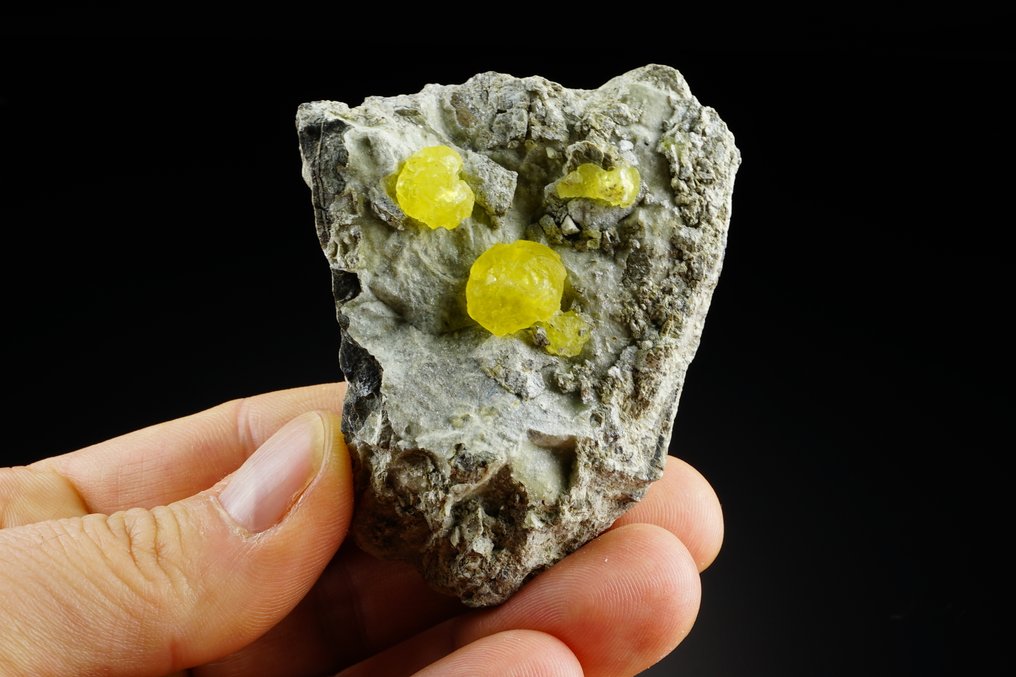 Σπάνιο κίτρινο BRUCITE - δείγμα υψηλής ποιότητας. Ζωντανοκίτρινοι βοτρυοειδείς κρύσταλλοι πάνω σε μήτρα. - Ύψος: 7 cm - Πλάτος: 5.6 cm- 101 g #1.0