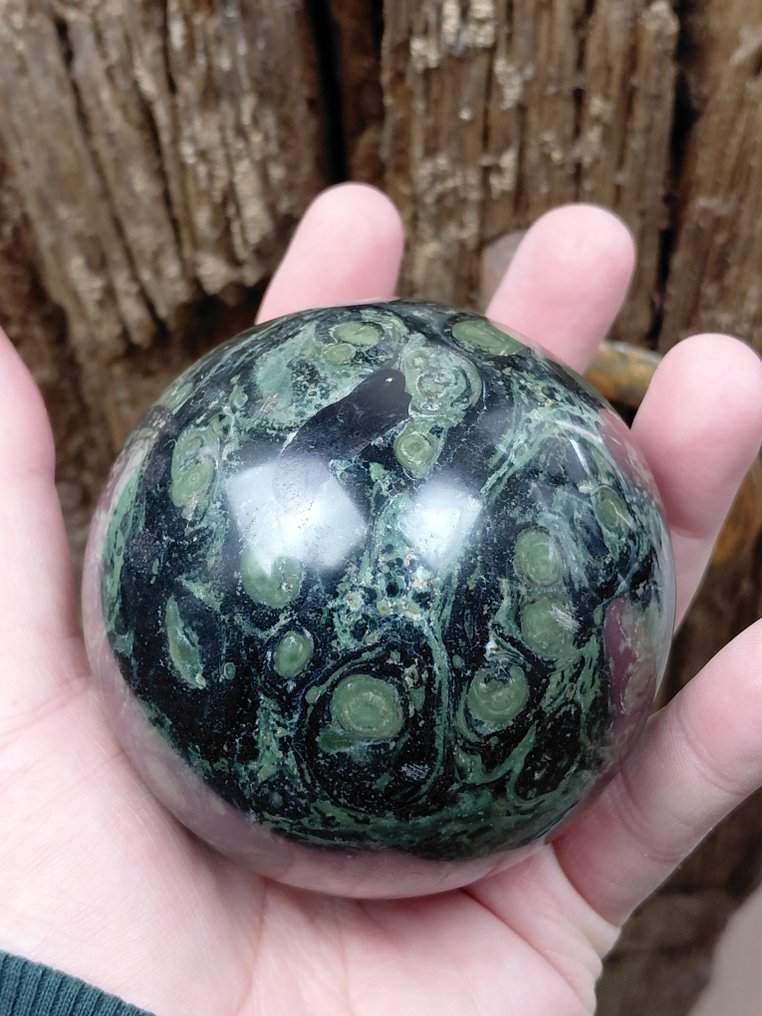 Beautiful large polished spheres - fossilized wood & Kambaba Jasper (fossil algae) - on a stand.- 1.6 kg #2.1