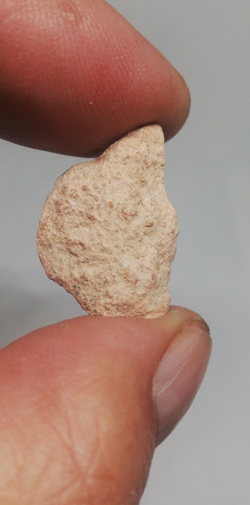 Béchar 003 (feldspar breccia) full slice. No reserve price. Achondrite Meteorite - 3.46 g #2.1