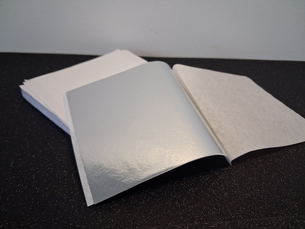 勞動工具 (500)  - 银叶片 #1.0