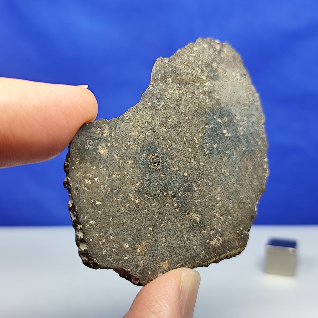 Ungrouped achondrite. "NWA 13791" (Sahara, 2020) Very rare for sale — only 142 grams in the world. - 8.8 g #1.0