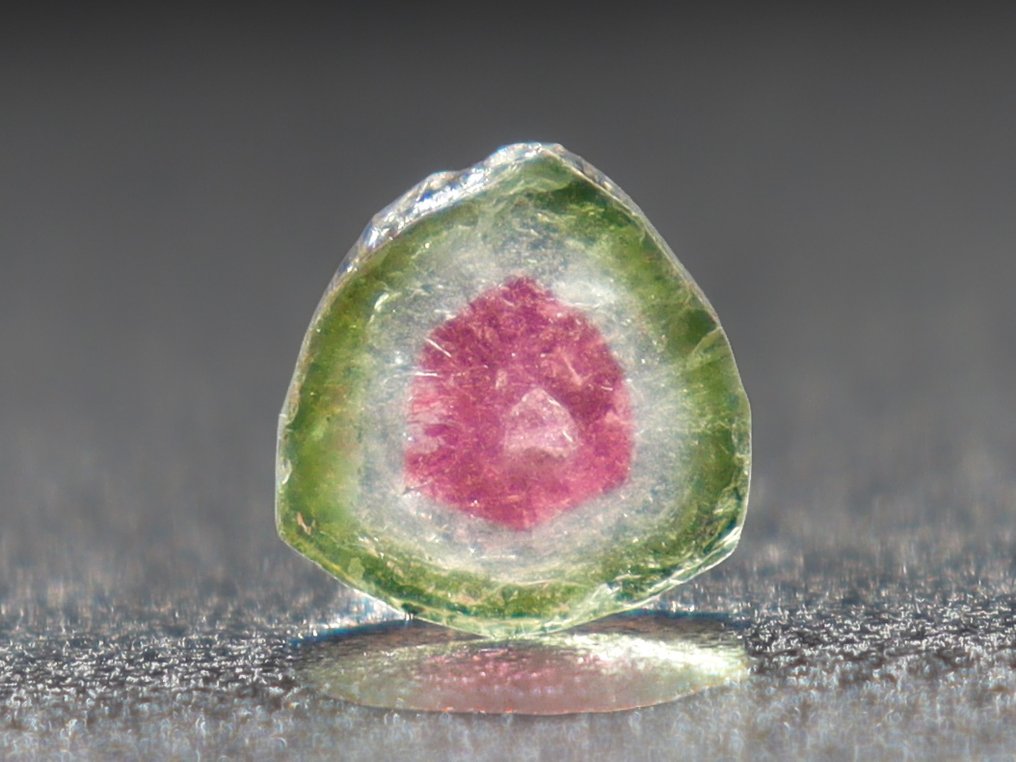 博物馆西瓜电气石 • 卓越 AAA 级 • 2.20 克拉 • 第1套，共5套 - 高度: 8 mm- 0.44 g - (1) #3.2