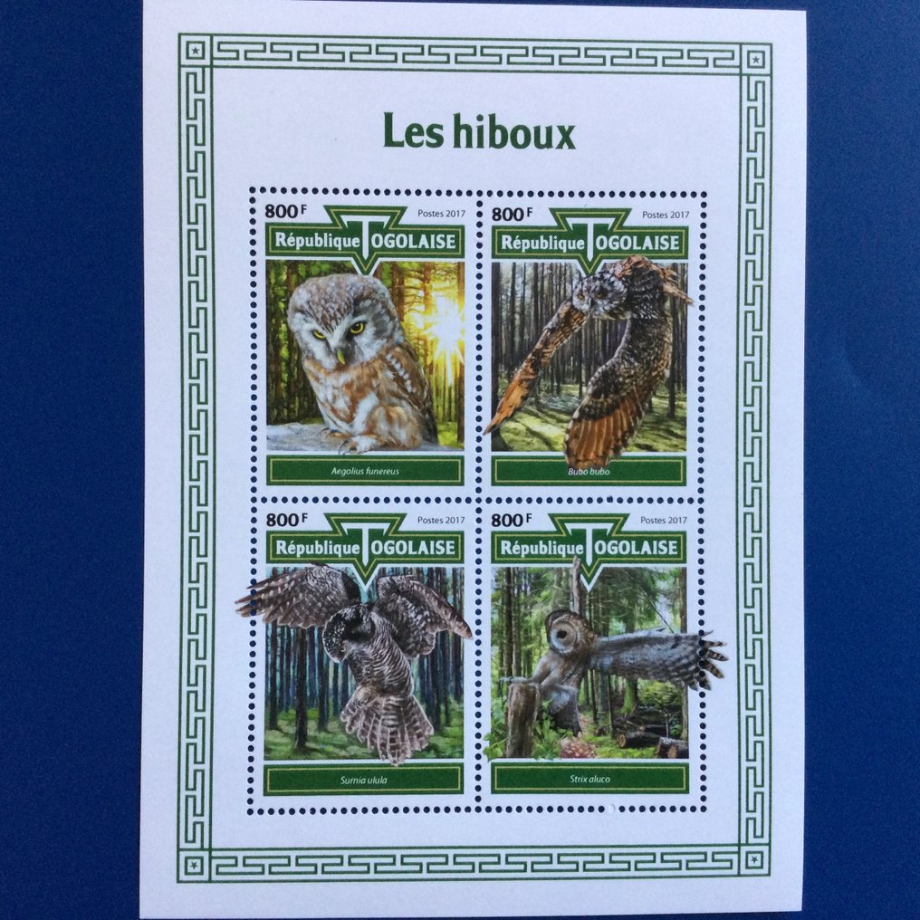 Lumea - Bufnițe #4.3