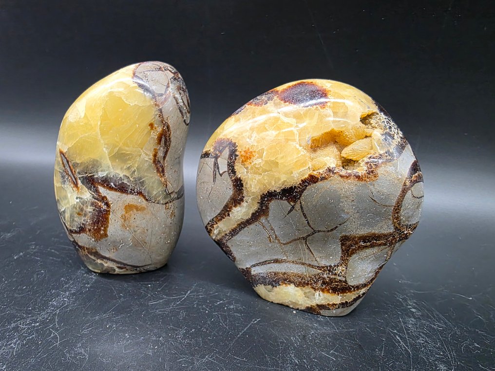 Septaria Forme Libere Madagascar - Altezza: 10 cm - Larghezza: 6.5 cm- 1020 g #3.2