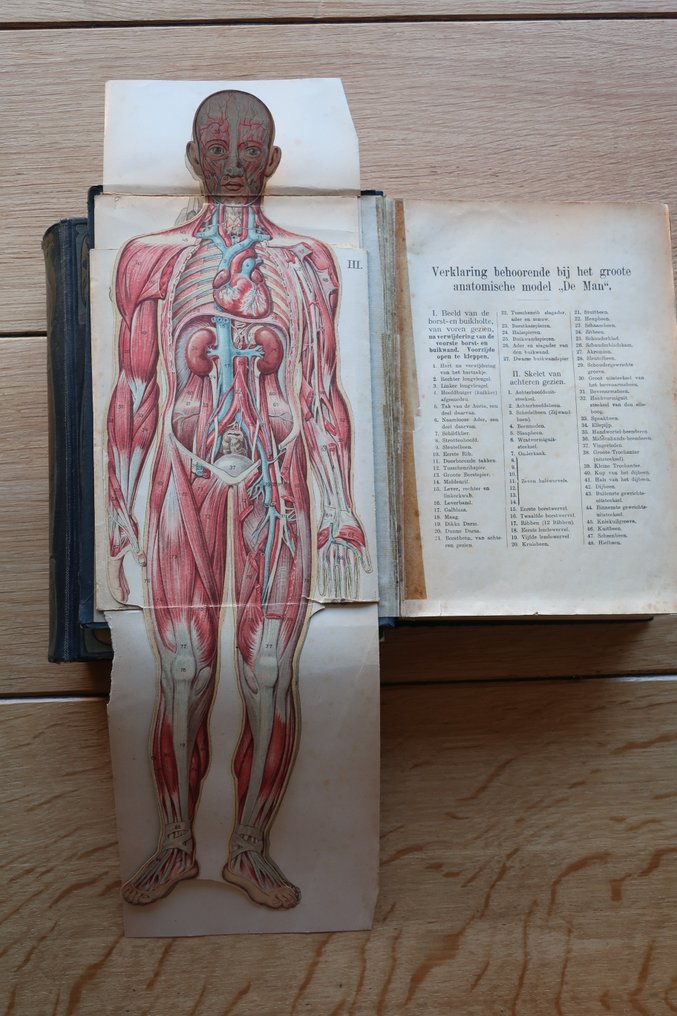 F.E. Bilz - Bilz, De nieuwe natuurgeneeswijze - 1922 #3.2