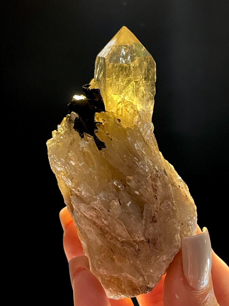 146g Beautiful Yellow QUARTZ var. CITRINE from Lwena, Congo Crystal cluster - Height: 9.3 cm - Width: 5 cm- 146 g #1.0