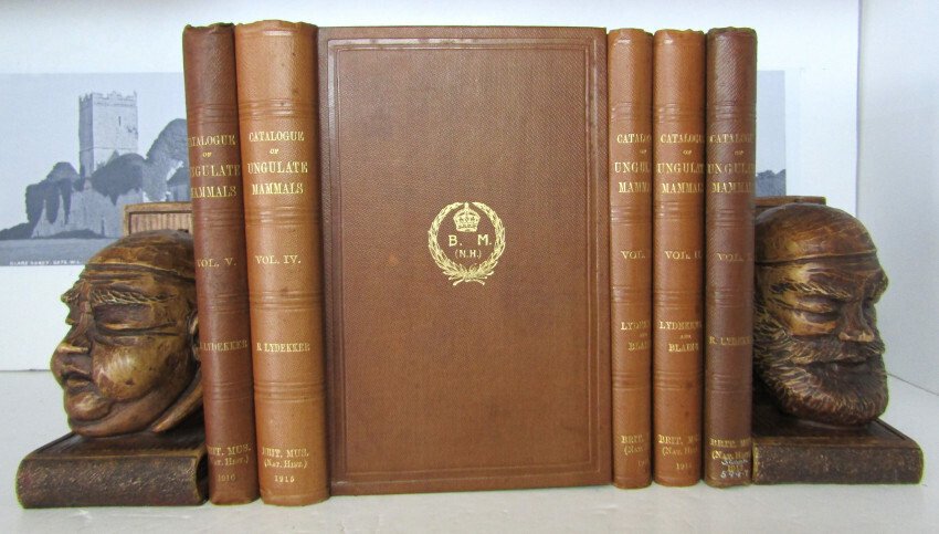 R. Lydekker - Catalogue of the Ungulate Mammals in the British Museum [Natural History] - 1913-1916 #1.0