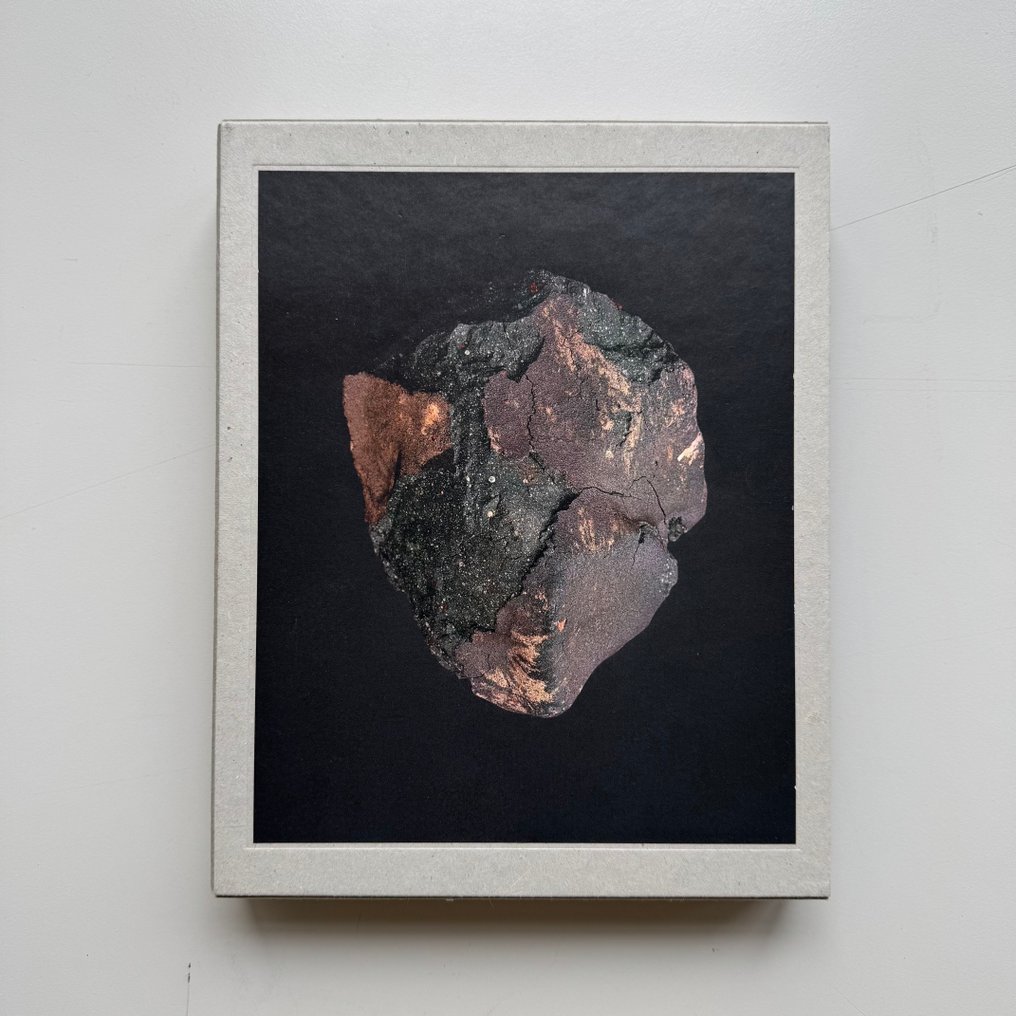 Regine Petersen - Find a Fallen Star - 2015 #1.0