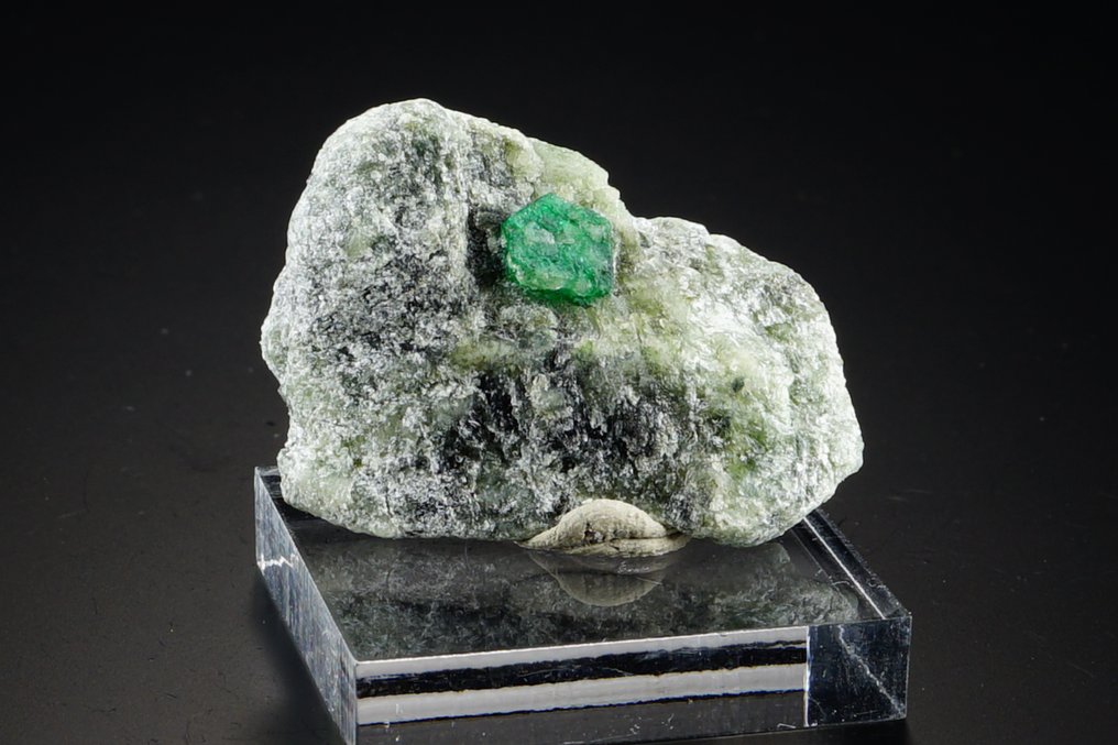 Rich hat EMERALD-Kristall in Matrix beendet. Tolle Farbe im Inneren - kein Mindestpreis. - Höhe: 3.5 cm - Breite: 2.6 cm- 12 g #1.0