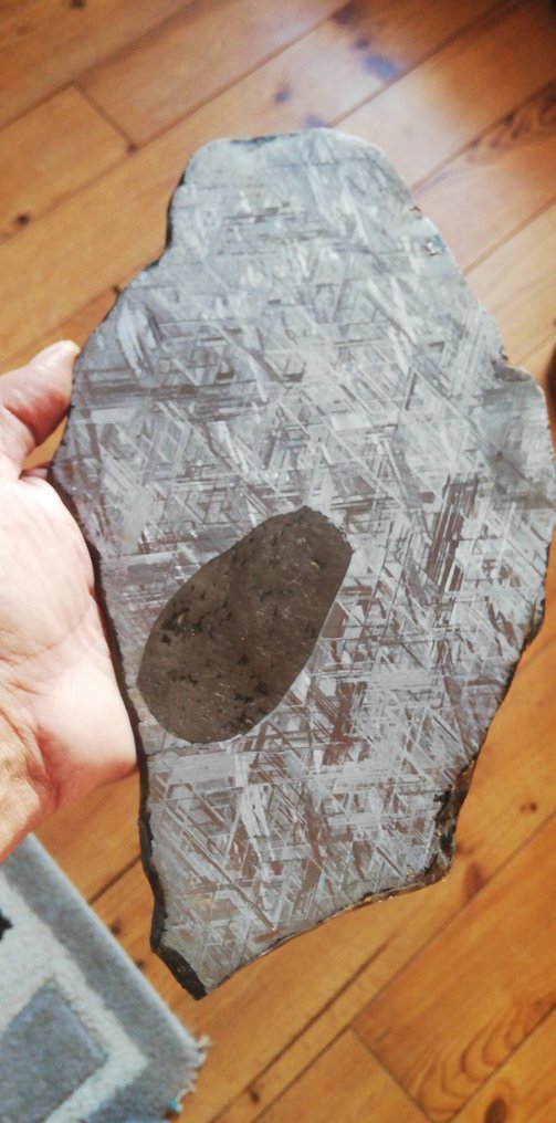 Magnifico campione di fetta XXL Muonionalusta 1209 g con inclusione di troilite. Meteorite Ferroso - Altezza: 27 cm - Larghezza: 16 mm - 1209 g #3.2