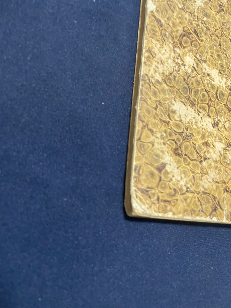 פאולוס הציר בנגוים שלח. - אגרת אל הרחומים - 1855-1855 #4.3