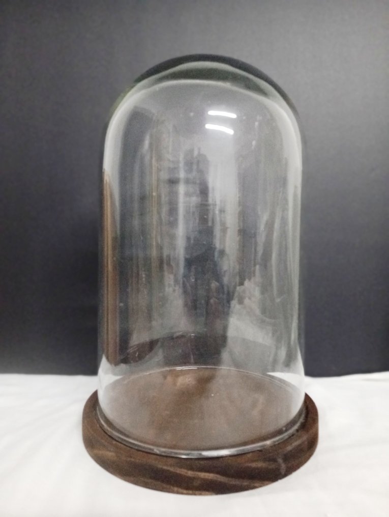 雕像頭 - Fanal con cabeza de dama  (2) - 素瓷, 松木 #1.0