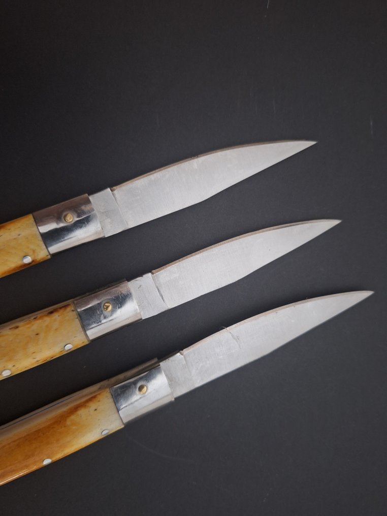 K.Roman K.Romain - Kitchen knife - Kitchen knife set -  La Coutellerie De Romain Laguiole Bougna Kitchen Knives Prestigious Presented in Box - Steel, Bone, Wood - France #3.2