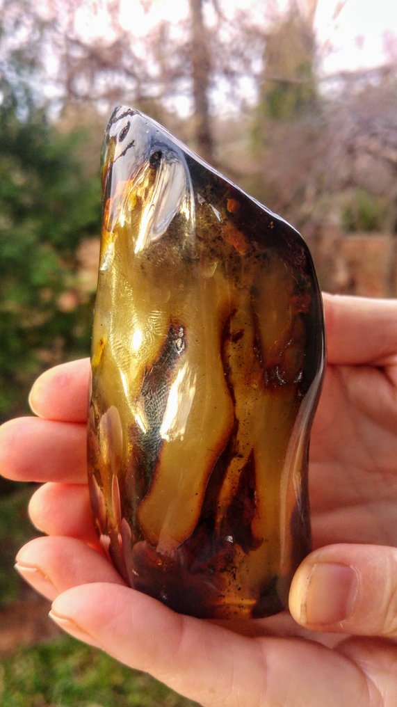 Baltisk rav - Honningfarvet sten - sjælden grønlig farve - Rav - Polished - 11 cm - 5 mm #1.0