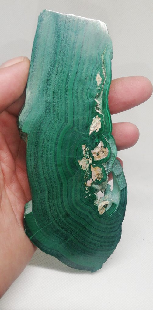 Malachite slice Malachite- 229 g #1.0