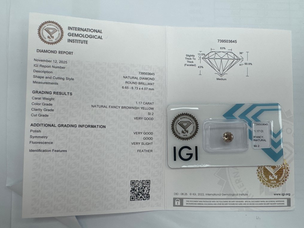 没有保留价 - 1 pcs 钻石  (天然色彩的)  - 1.17 ct - 圆形 - Fancy 稍帶棕色的, 黄色 - SI2 微内含二级 - 国际宝石研究院（IGI） #2.1