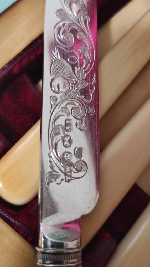 Fish cutlery set for 12 (24) - Sheffield and bone #1.0