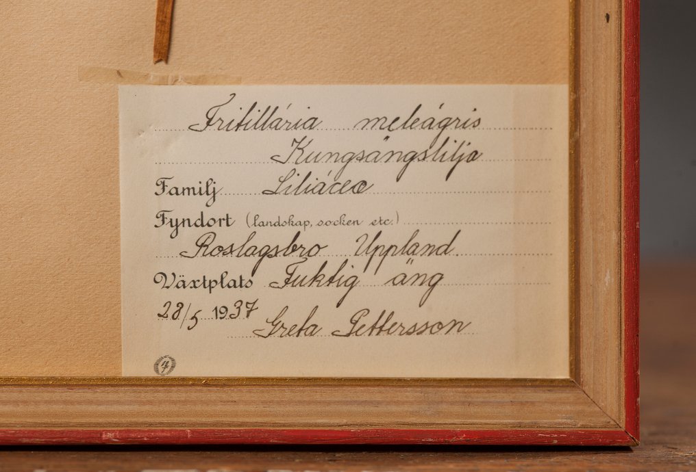 Not applicable - 1 Card #1.0