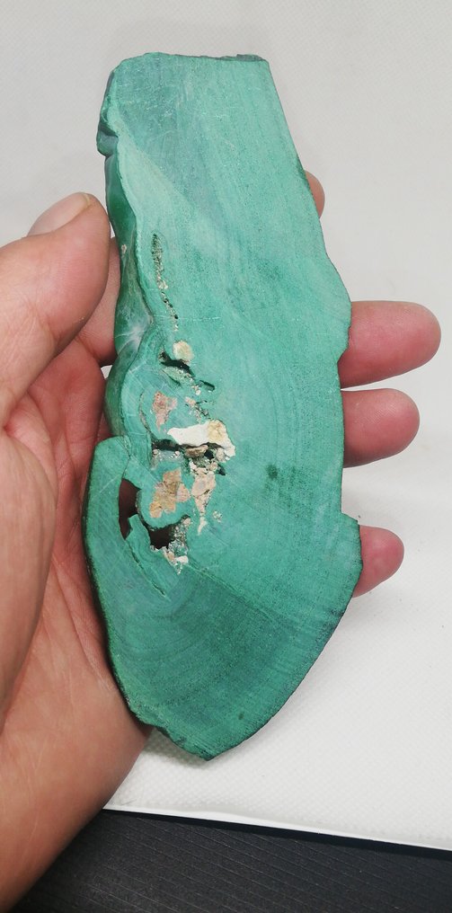 Malachite slice Malachite- 229 g #1.0