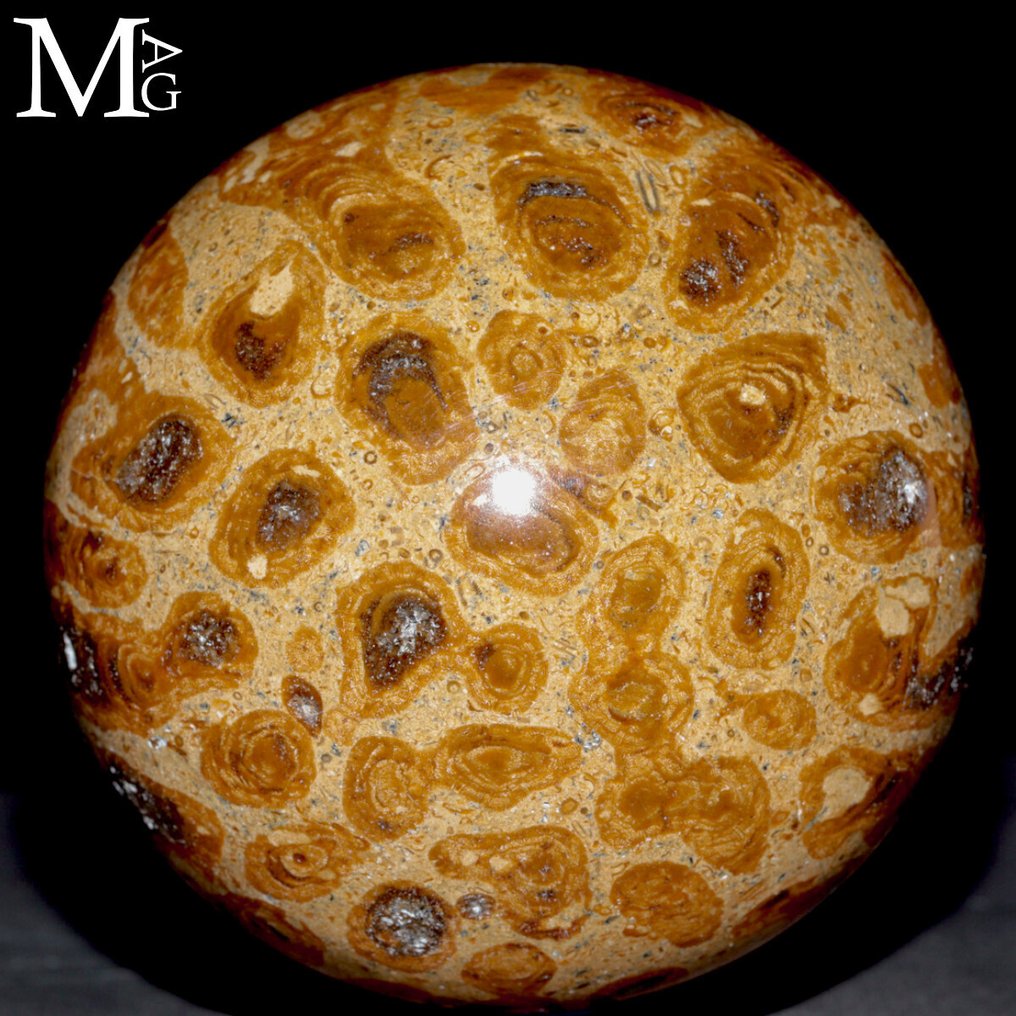 Fossil Coral Spheres - Carved Madreporic Fossil Coral - Height: 90 mm - Width: 90 mm- 1060 g #2.1