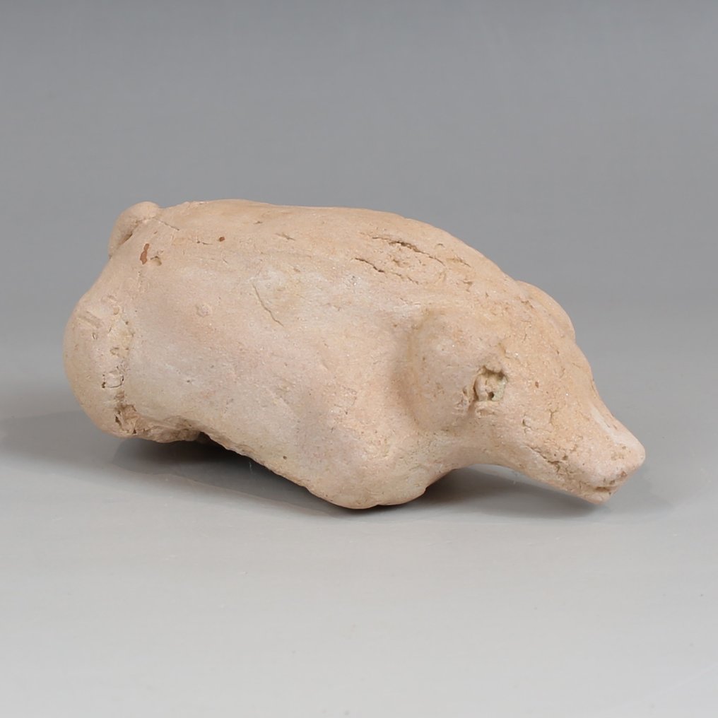 Chinois ancien, empire unifié des Tang Poterie Statuette d'un cochon  (Sans Prix de Réserve) #1.0