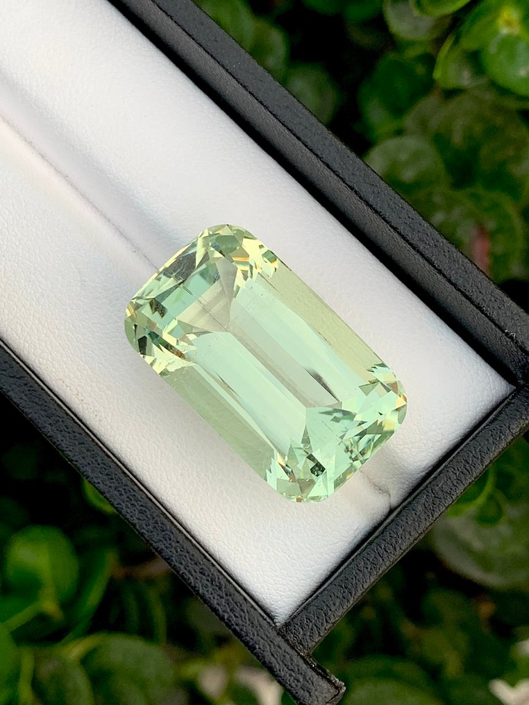 Fără preț de rezervă Beril - 45.90 ct - Asociația internațională de pietre prețioase colorate (ICA GemLab) #3.2