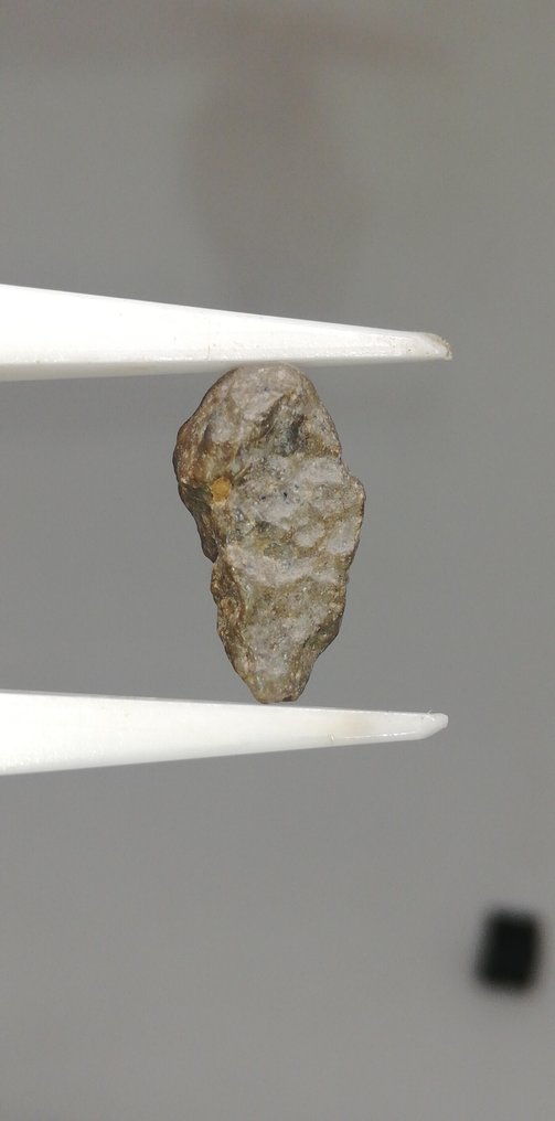 El Milhas 002 (feldsp. Breccia) Holdi. Nincs minimális ár. Akondrit meteorit - 0.91 g #1.0