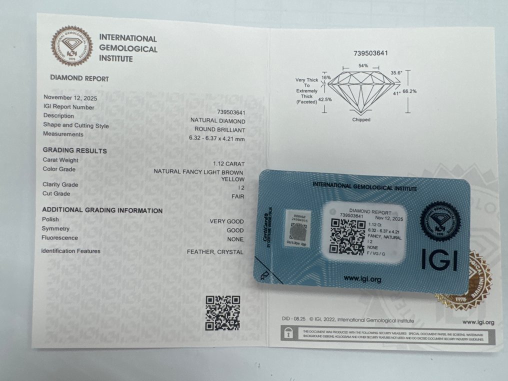 没有保留价 - 1 pcs 钻石  (天然色彩的)  - 1.12 ct - 圆形 - Fancy light 黄色, 棕色 - I2 内含二级 - 国际宝石研究院（IGI） #3.2