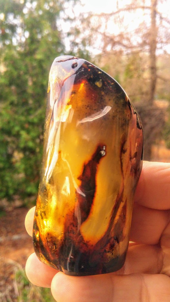 Baltisk rav - Honningfarvet sten - sjælden grønlig farve - Rav - Polished - 11 cm - 5 mm #2.1