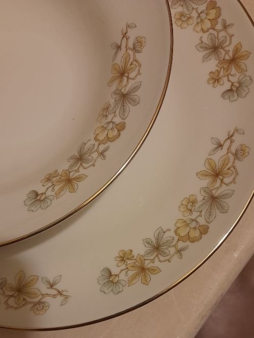 Richard Ginori - ELENA DIANA - Piatto (18) - Porcellana - set di piatti #4.3