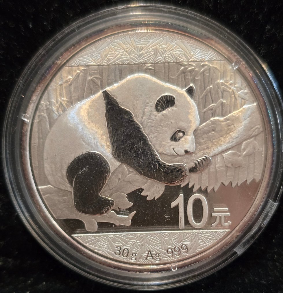 China. 10 Yuan 2016 Panda, 30g Ag.999 (No reserve price) #4.3