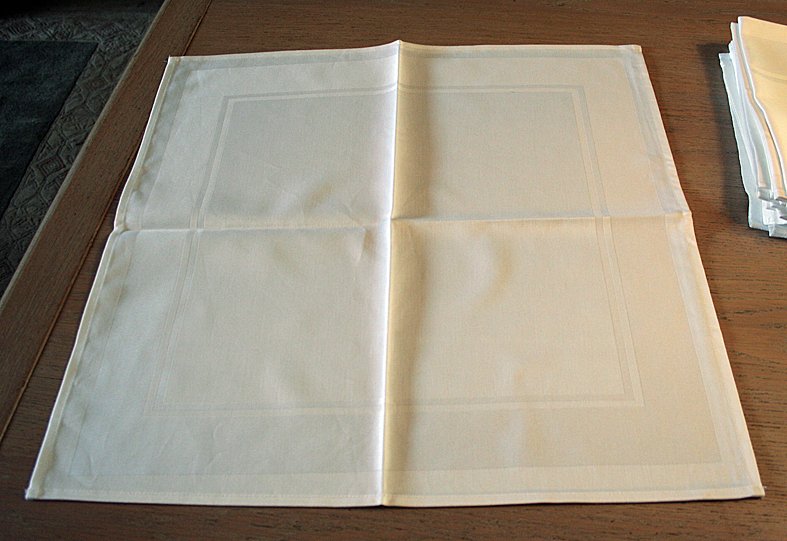 Napkin (16) - 51 cm - 51 cm - Damask #3.2