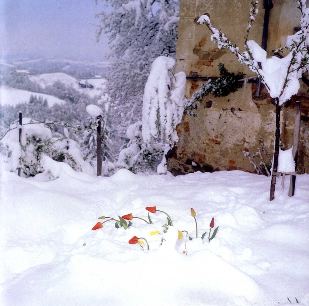 Manfred Willmann - Das Land - 2000 #1.0