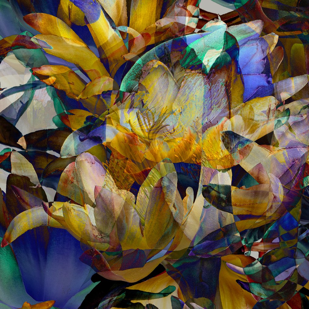 Elena Paraskeva - Madness Of A Thousand Blooms -XXL #2.1