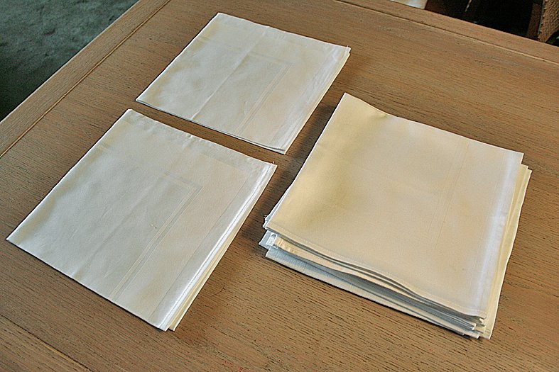 Napkin (16) - 51 cm - 51 cm - Damask #1.0