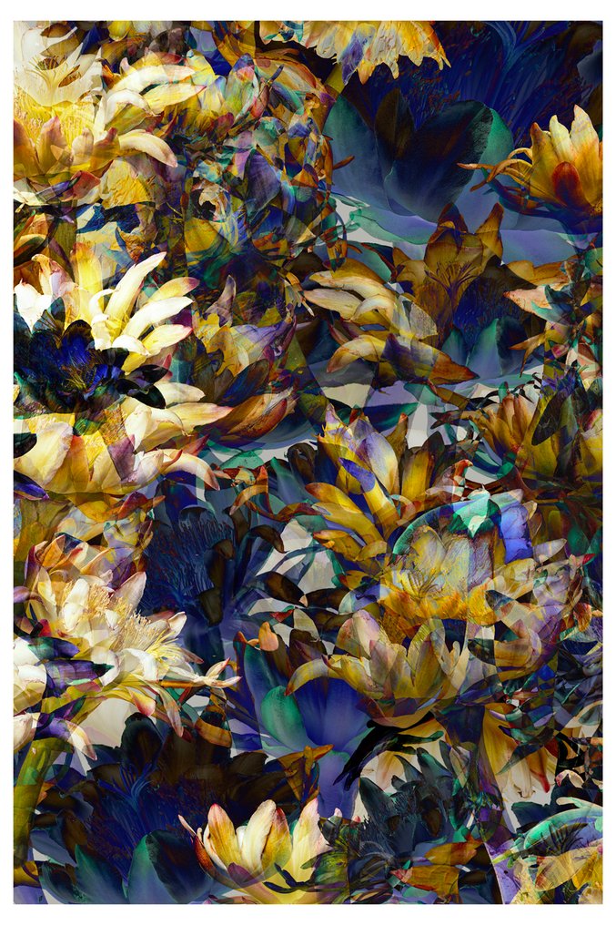 Elena Paraskeva - Madness Of A Thousand Blooms -XXL #1.0