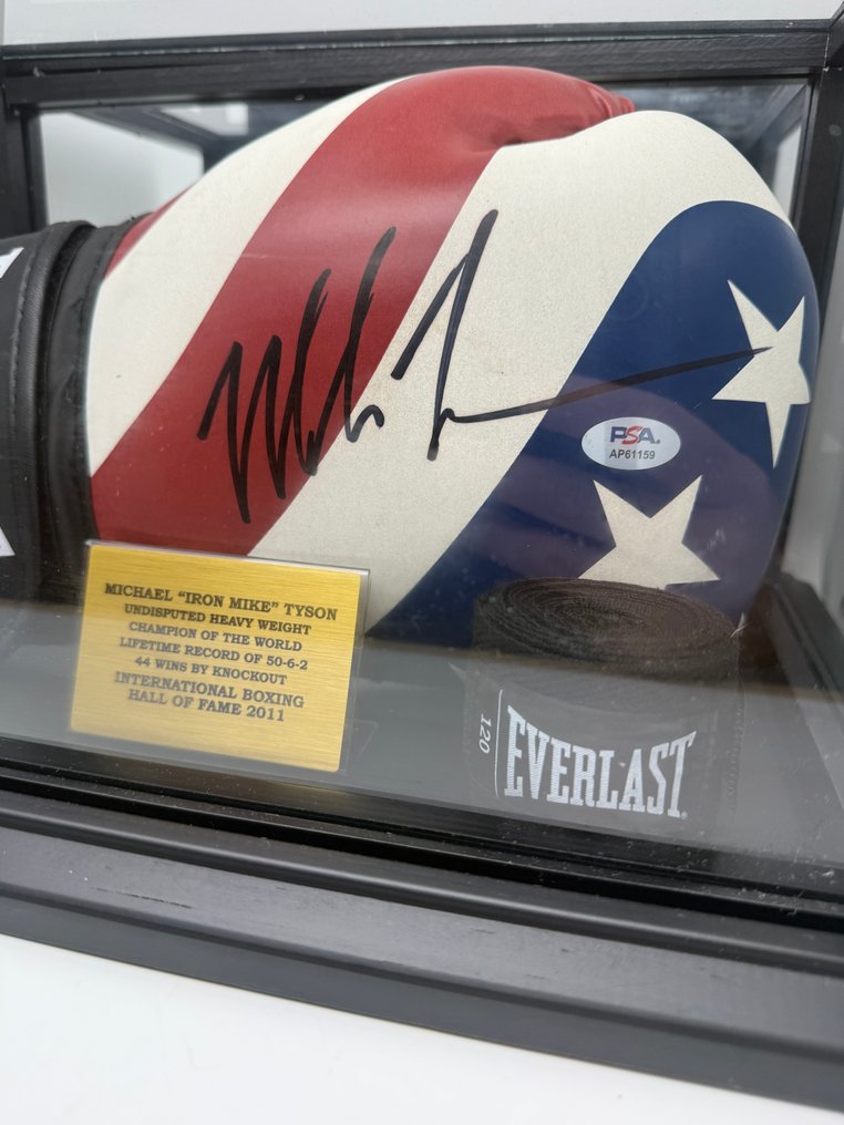 Boxen - Mike Tyson - Boxhandschuh #1.0