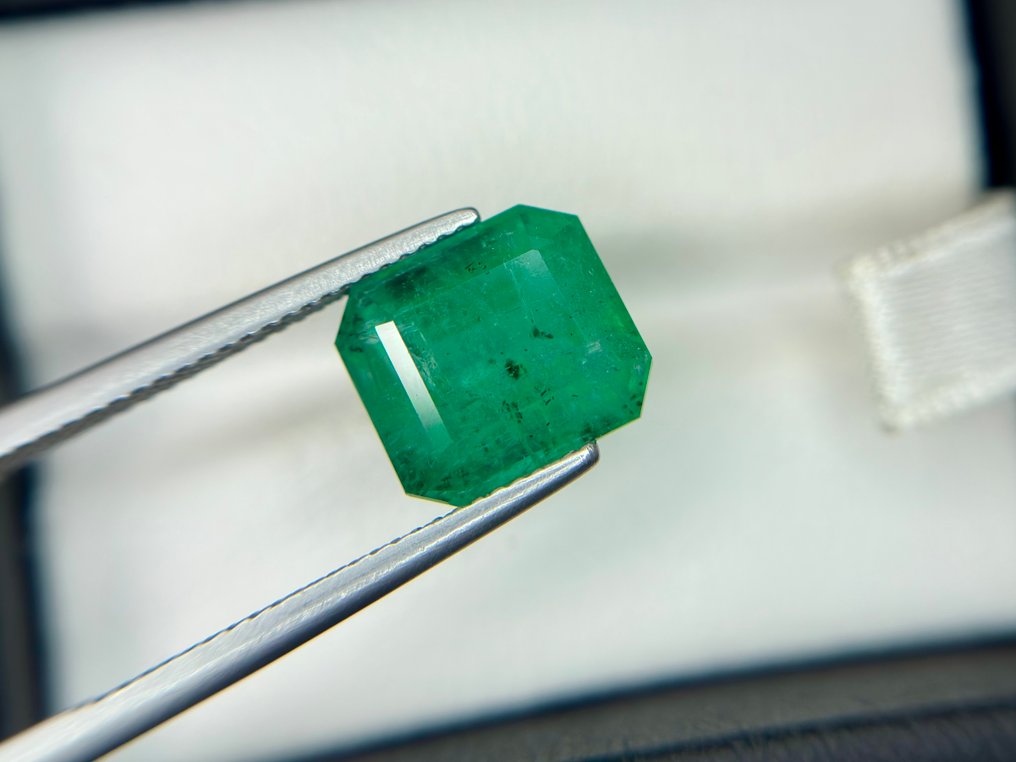 No reserve price - 1 pcs Green Emerald - 6.05 ct - Lotus Gemology - MINOR OIL INTENSE GREEN #3.2