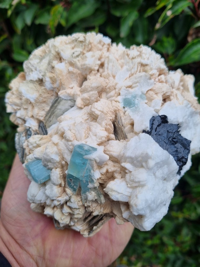 Cristalli di acquamarina grande HQ con schorl toermaline e mica su matrice Grezzo - Altezza: 150 mm - Larghezza: 145 mm- 1626 g #1.0