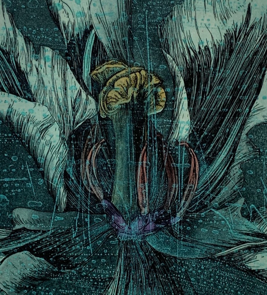 Forest flowers - NO RESERVE PRICE - Shinji Ando 安藤真司 (b 1948) - Japan  (No Reserve Price) #1.0