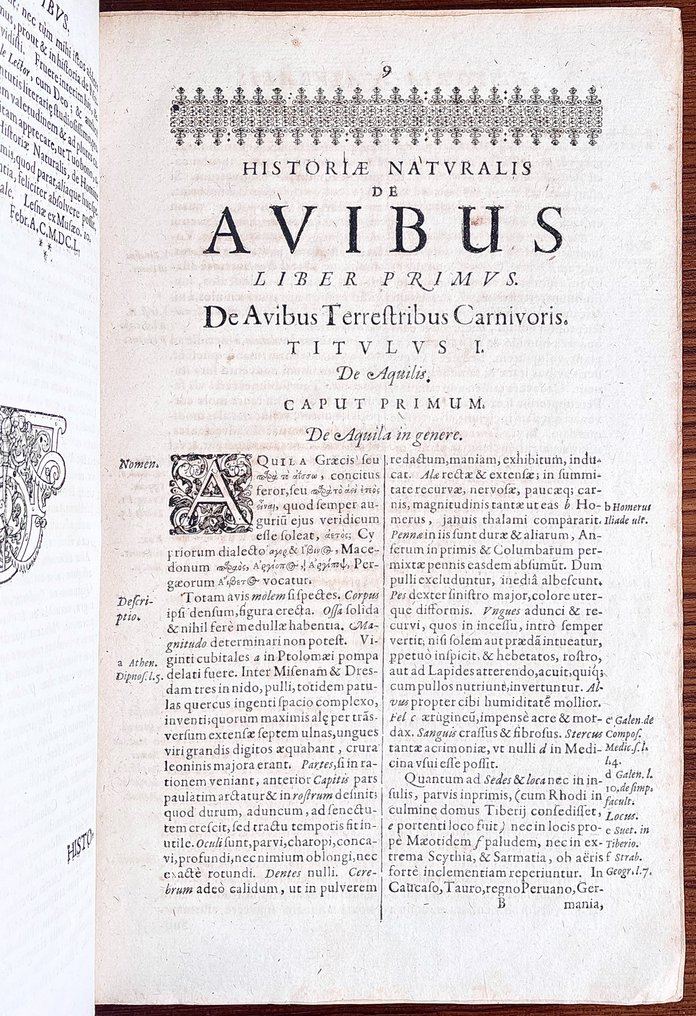Merian/Jonston - [ERSTAUSGABE] Historiae Naturalis Avibus - 1650 #3.2