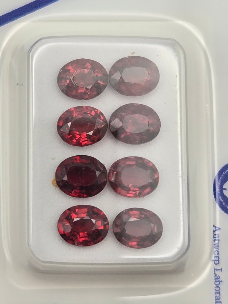8 pcs  Spinelle  - 3.56 ct - Antwerp Laboratory for Gemstone Testing (ALGT) - Rouge profond vif #1.0